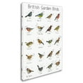 thumbnail image 2 of Trademark Fine Art 'Garden Bird Print' Canvas Art by Michelle Campbell, 2 of 3
