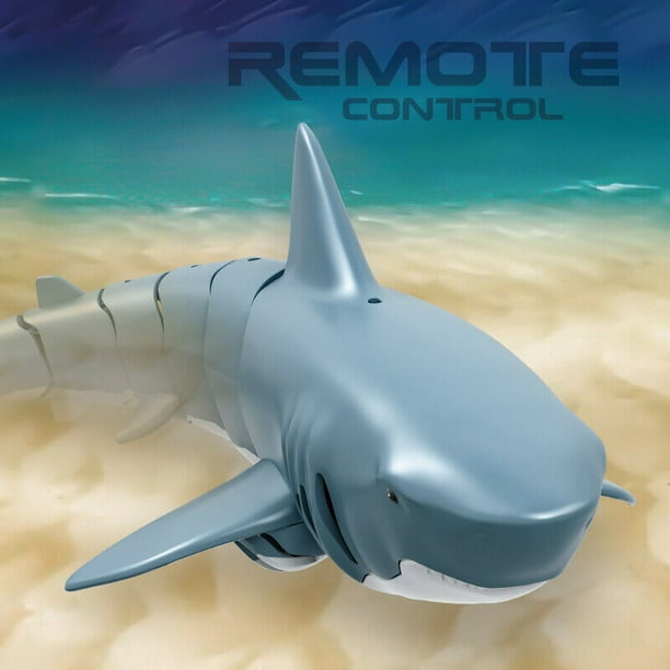 rc floating shark