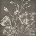 thumbnail image 3 of Wild Apple Portfolio 12x12 Black Modern Framed Museum Art Print Titled - Botanical Beauty Chalk Square IX, 3 of 5