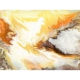 thumbnail image 3 of Studio W 24x19 Black Modern Framed Museum Art Print Titled - Liquid Earth VI, 3 of 5