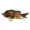2#, variant on BE-TOOL Fishing Crankbait Lure Fishing Crankbait Fishing Bass Swimbaits for Bass Trout Musky Pike