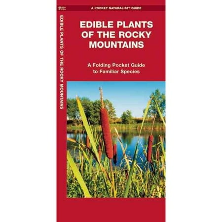 rocky edible mountains plants
