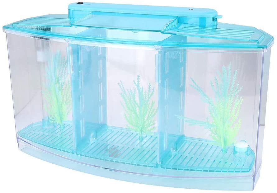 Three Areas Acrylic Small Aquarium, Mini Fish Tank, for Betta for Small
