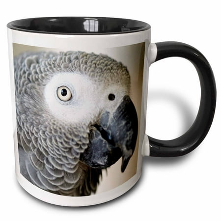 - 3dRose African Grey Parrot tropical bird - NA02 MFR0001 - MFR - Two Tone Black Mug, 11-ounce