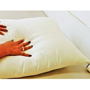 Standard Kapok Medium Sleeping Pillow w/zip