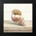 thumbnail image 2 of Nai, Danhui 15x15 Black Modern Framed Museum Art Print Titled - Driftwood Shell I, 2 of 5