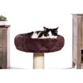 thumbnail image 4 of Prevue Pet Kitty King Bed With Hideaway, 4 of 5