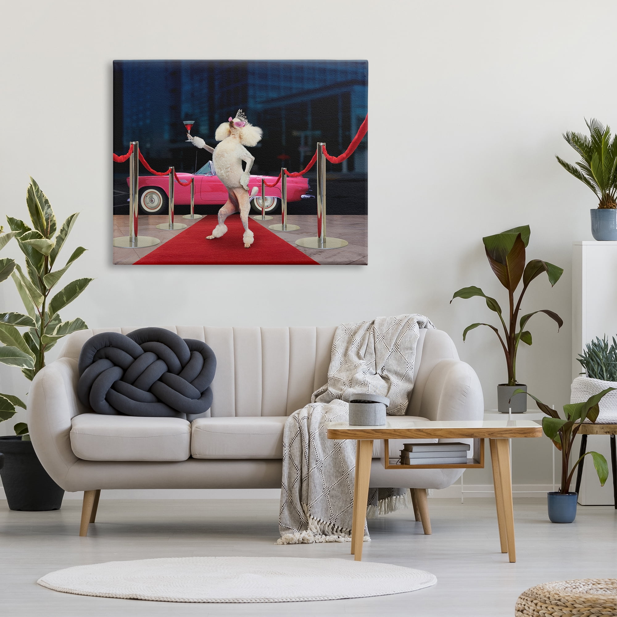 Stupell Industries Funny Red Carpet Poodle Animals & Insects Painting Gallery Wrapped Canvas Print Wall Art, 48 x 36