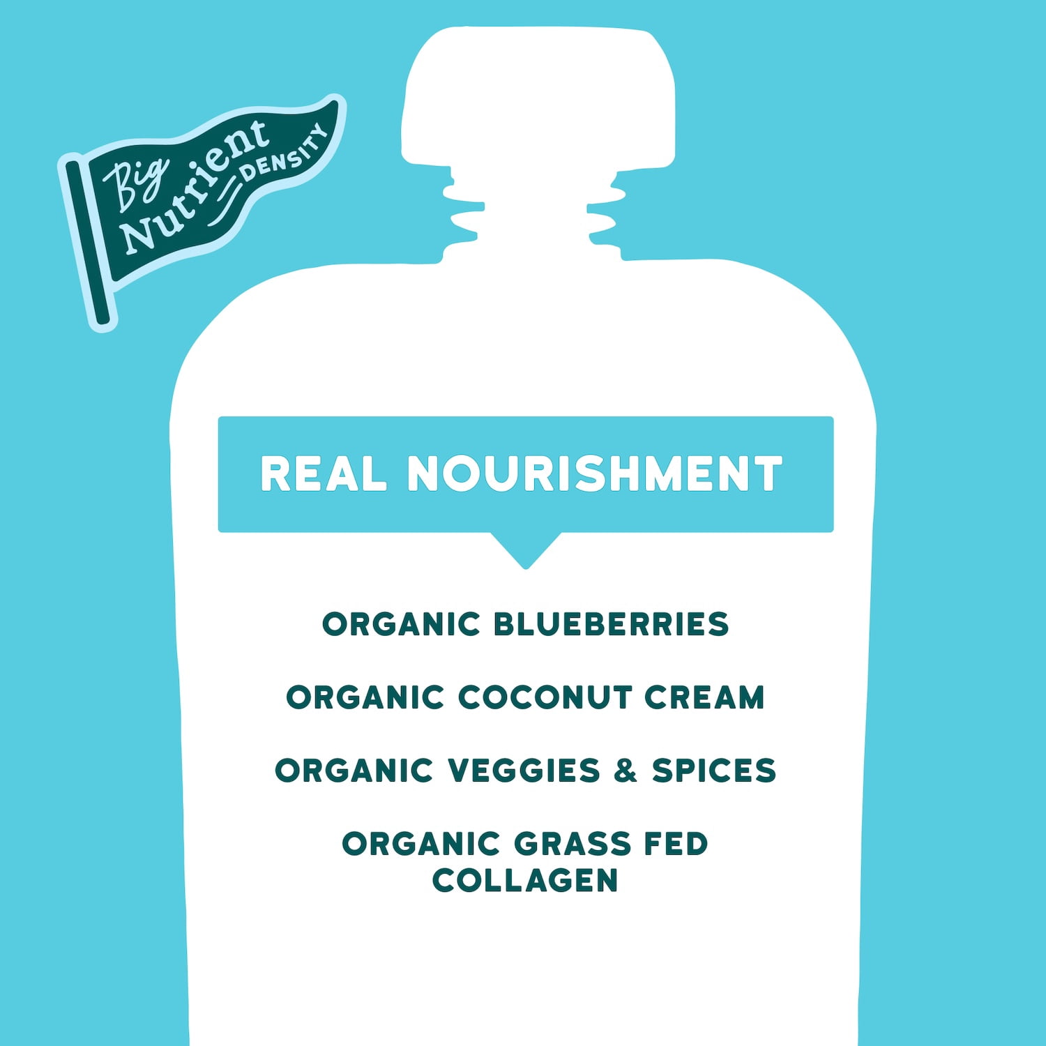 Serenity Kids Dairy Free Blueberry Butternut Smoothie with Organic Coconut Cream and Grass Fed Collagen, 3.5oz Pouch