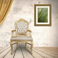 thumbnail image 3 of Rotenberg, Nancy 18x24 Gold Ornate Wood Framed with Double Matting Museum Art Print Titled - Blade of Grass with Dewdrop, 3 of 4