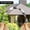 Slive, variant on Bird Reflective Decoration 12 Pack Bird Spiral Repellen Rods Patio & Garden