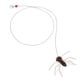 thumbnail image 2 of 2 recambios para juguetes de gatos: Recambios interactivos de insectos con forma de varita para gatos, cuerda larga, cabeza para juguete de enriquecimiento para gatitos de interior., 2 of 8