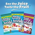 Juicefuls Fruit Snacks, DHF10 25 Individually Wrapped 1oz Assorted