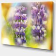 thumbnail image 2 of Beautiful Blue Lupin Flowers - Large Flower Canvas Art Print, 2 of 3