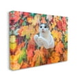 thumbnail image 4 of Stupell Industries Cat in Autumn Leaf Pile Animals & Insects Photography Gallery Wrapped Canvas Art Print Wall Art, 48 x 36, 4 of 8