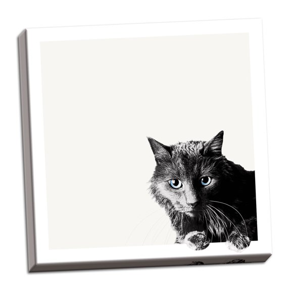 Gango Home Decor Vertical Inquisitive by Jon Bertelli (Ready to Hang); One 16x16in Hand-Stretched Canvas