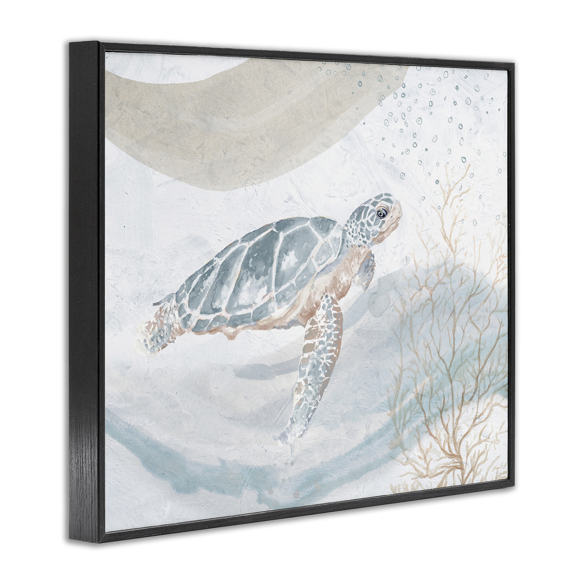 Stupell Industries Turtle Watercolor Style Animals & Insects Painting Black Framed Art Print Wall Art, 30 x 24