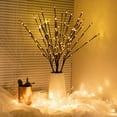 thumbnail image 2 of LED Willow Branch Warm Light Battery Powered Decorative Lights String for Holiday Indoor Outdoor Decoration, 2 of 6
