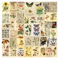 thumbnail image 2 of Póster Vintage de plantas, flores, mariposas, pegatinas para coche, portátil, teléfono, decoración de papelería, calcomanías de vinilo, pegatina impermeable, juguetes para niños, 2 of 3