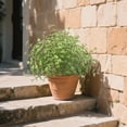 thumbnail image 6 of Artificial Outdoor Greenery Plants, UV Resistant No Fade Faux Plants for Front Porch Patio Garden, Bendable Stems, Indoor Outdoor Decorative Plastic Plants, E, 6 of 9