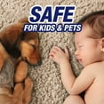 thumbnail image 6 of Resolve Pet Stain & Odor Carpet Cleaner, 22 oz (Pack of 6), 6 of 11