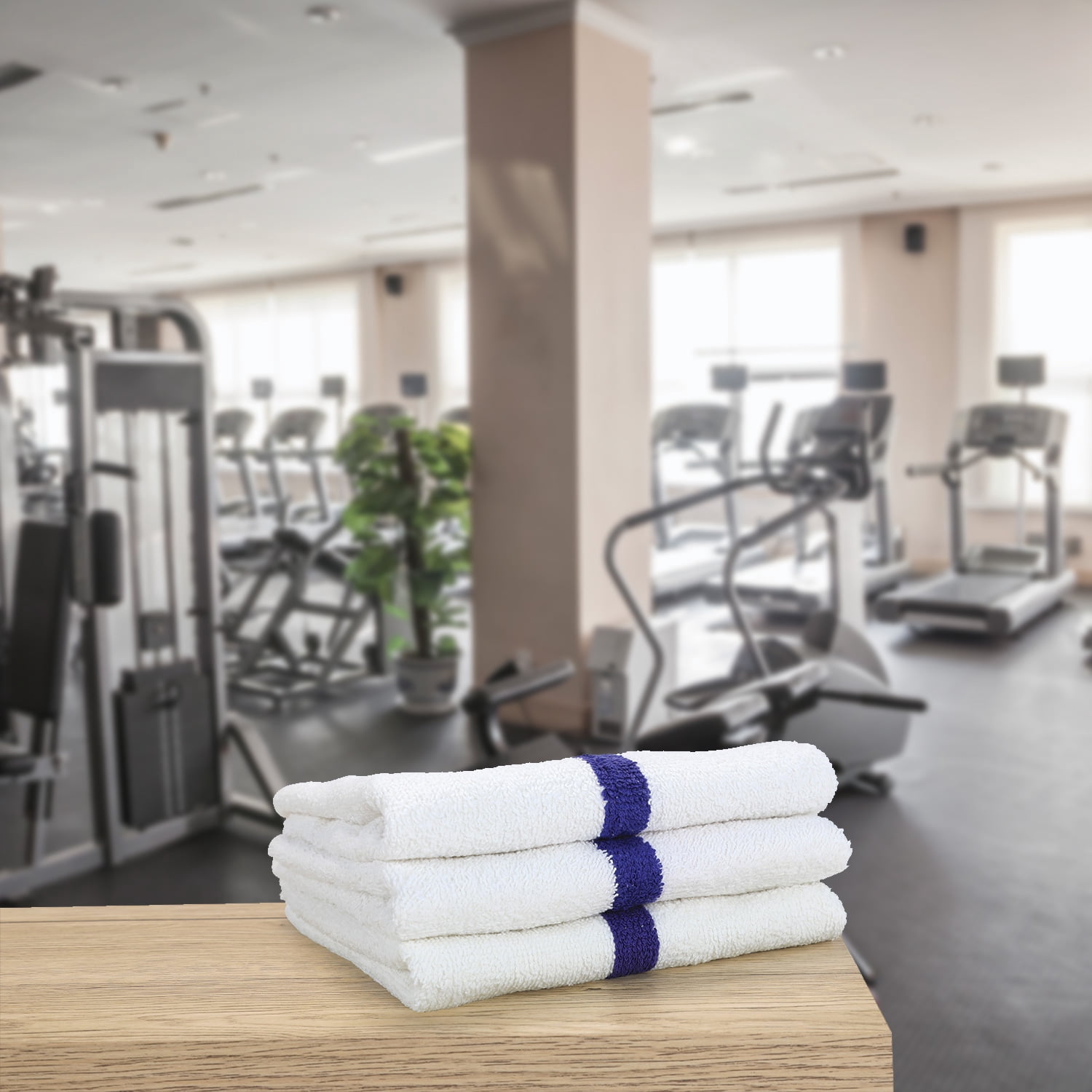 Arkwright Gym Hand Towels (Bulk Case of 120), 16x27, Ring Spun Cotton, Blue Stripe