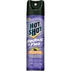 Hot Shot Aerosol Bedbug Killer, 17.5 oz