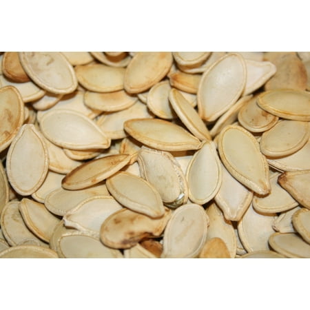 BAYSIDE CANDY PUMPKIN SEEDS IN SHELL ROASTED UNSALTED,