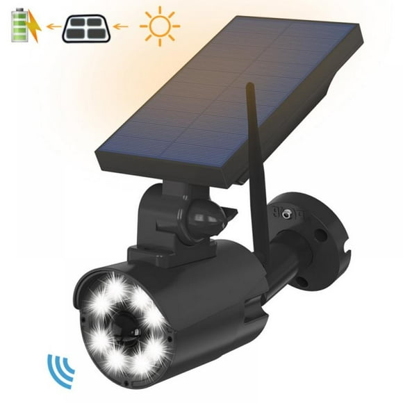 Solar Decoy Camera