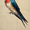 Bird Oil Painting, variant on UXIEQU Vintage World Map Canvas Wall Art 15.75x11.81 Inches