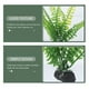 thumbnail image 4 of KAKOWELY 12 piezas de plantas artificiales decorativas resistentes al desgaste para acuario, decoración reemplazable., 4 of 5
