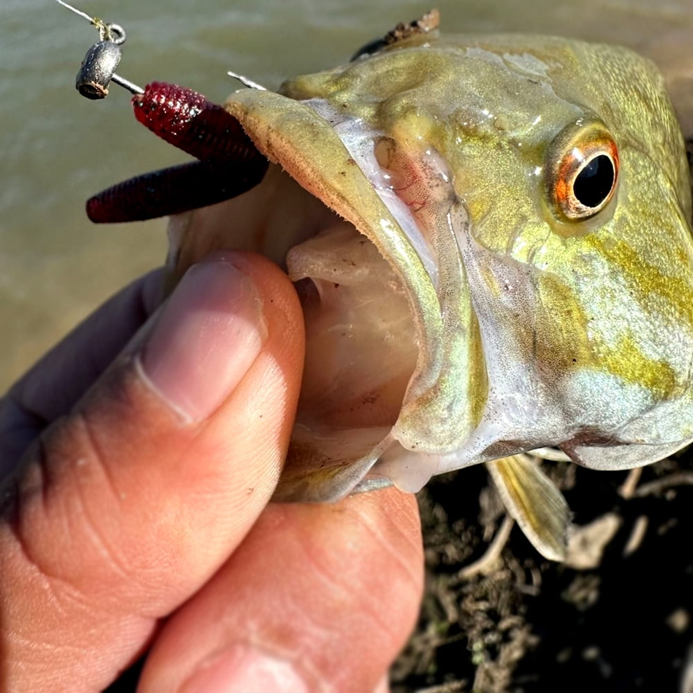 Micro Ned Rig Jig Heads ,25pc/Case Finesse Shroom Head Jig Hooks for Bass, Crappie, Perch, and Trout Availble in 1/32oz, 1/24oz, 1/16oz