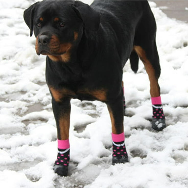 Dog shoes for rottweiler shop