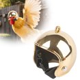 thumbnail image 1 of 1 unidad de artículos para mascotas: divertido casco de gallina para pájaros, 1 of 5