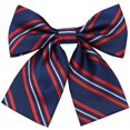 thumbnail image 5 of Corbata masculina con cuello de flores para estudiantes femeninas, a juego, uniforme universitario, estilo a rayas, cuadros, cremallera, lazo sin nudos, 5 of 5