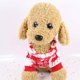 thumbnail image 3 of Abrigos cálidos de invierno para perros para cachorros, lindo mono con diseño de cuatro patas para mascotas, ropa con capucha de tela de franela suave Adepaton FLD-3304, 3 of 8
