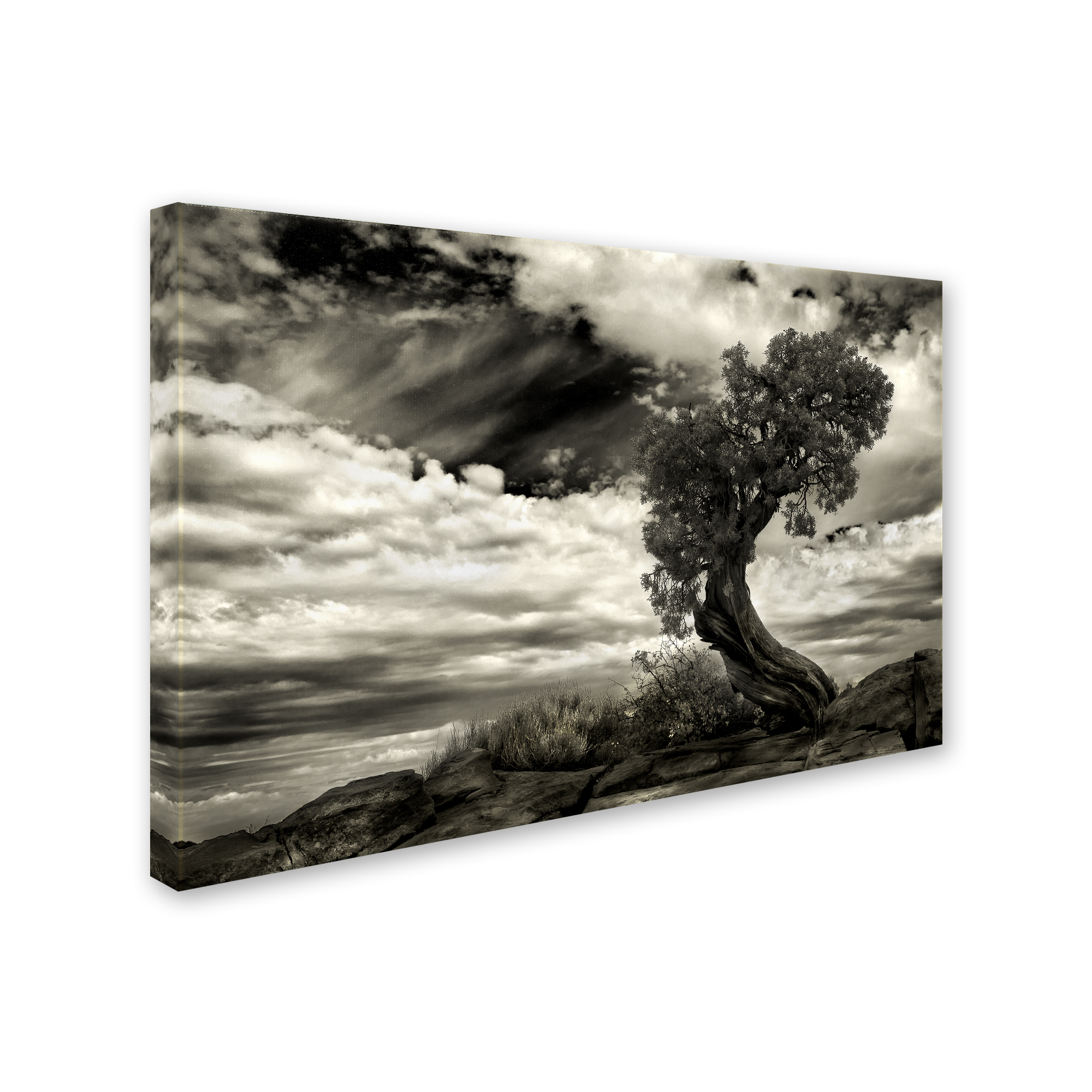 Trademark Fine Art 'The Boss' Canvas Art by Jerome Zakka Bajjani
