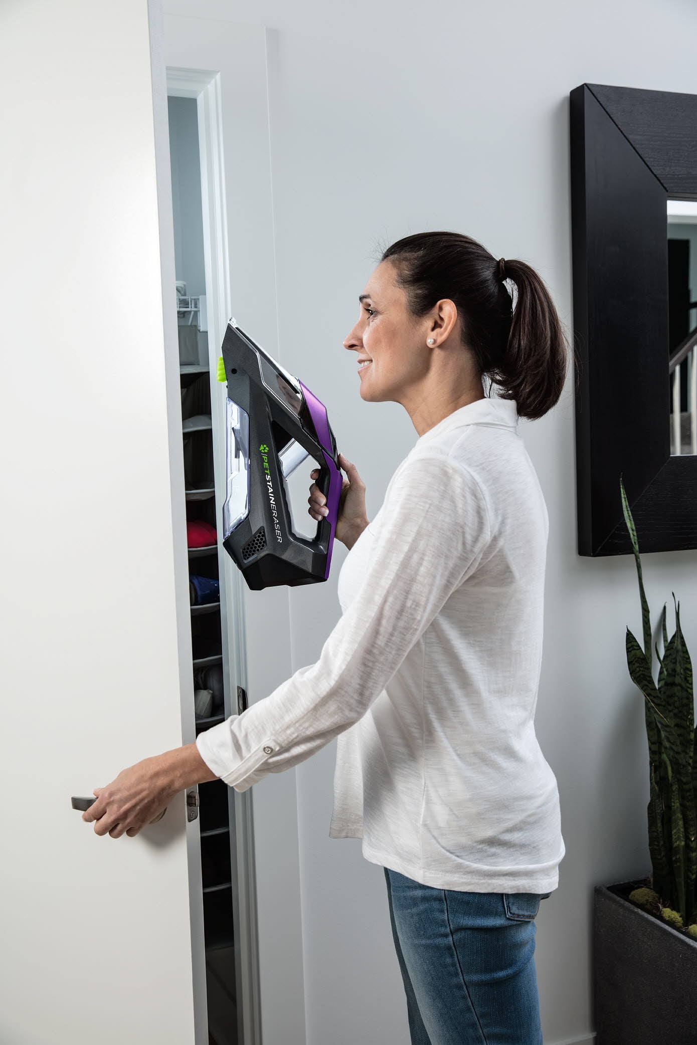 Pet Stain Spot Carpet Cleaner Remover Shampooer Cordless Portable Hand