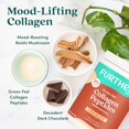 thumbnail image 4 of Péptidos de colágeno de chocolate en polvo adicionales, proteína hidrolizada tipo 1 y 3 alimentada con pasto, salud intestinal + articulaciones, cabello, piel, uñas, Paleo Keto sin azúcar 24.34 oz, 4 of 5