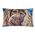 thumbnail image 1 of Carolines Treasures 7402PW1216 Boykin Spaniel Fabric Decorative Pillow, 1 of 3