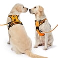 thumbnail image 2 of Arnés para perros NESTROAD, chaleco Oxford ajustable sin tirones, naranja, 2 of 8