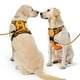 thumbnail image 2 of Arnés para perros NESTROAD, chaleco Oxford ajustable sin tirones, naranja, 2 of 8