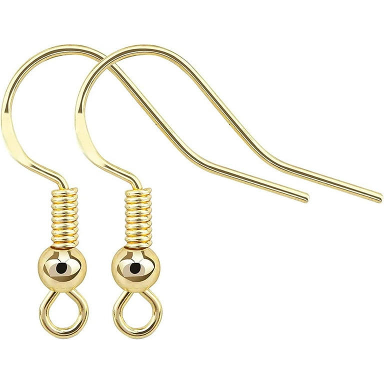 Fish Hook Earring Hooks 4pcs 14k Gold Filled Earring Findings with Earring  Backs for Earring Supplies Earrings Making DIY (4pcs Earring Hooks and 4pcs