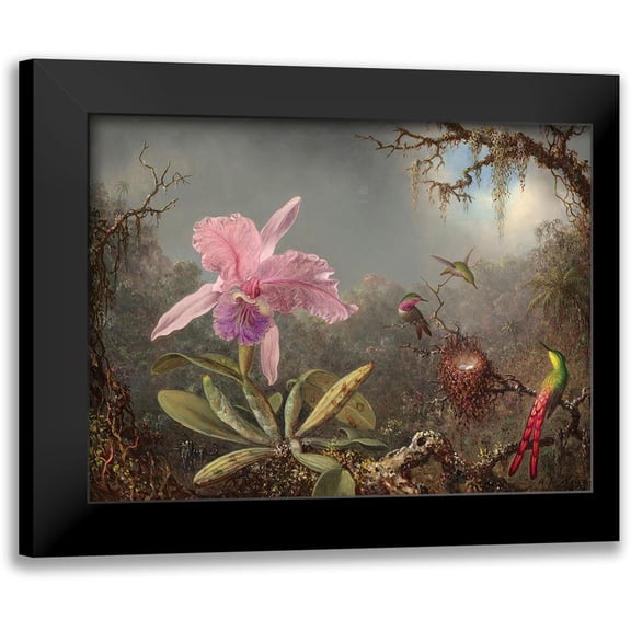 Heade, Martin Johnson 14x12 Black Modern Framed Museum Art Print Titled - Cattleya orchid and three hummingbirds