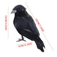 thumbnail image 3 of 6 Pack Halloween Realistic Black Crow Decorations Lifelike Feathered Ravens with Clips Party Props for Fence Tree Pumpkin Indoor Outdoor Decor, 3 of 8