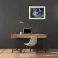 thumbnail image 3 of Bonin, Suzanne 32x25 White Modern Wood Framed Museum Art Print Titled - Lavender, 3 of 4