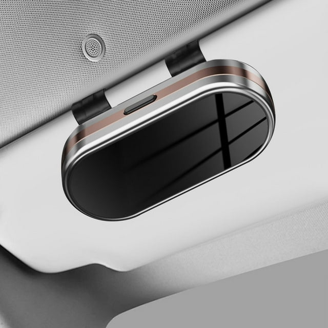 Caja de almacenamiento para gafas de sol, organizador de visera de coche, práctico organizador de visera para hombres y mujeres, caja protectora. Plata Oro Rosa