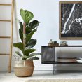 thumbnail image 3 of 2pcs plant holder Monstera Plant Holder For Indoor Plants Climbing Up Moss Rods, 3 of 4