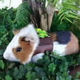 thumbnail image 2 of HEVIRGO Pet Harness Bow-knot Decor Anti-biting Polyester Guinea Pig Chest Strap Leash for Walking, 2 of 11