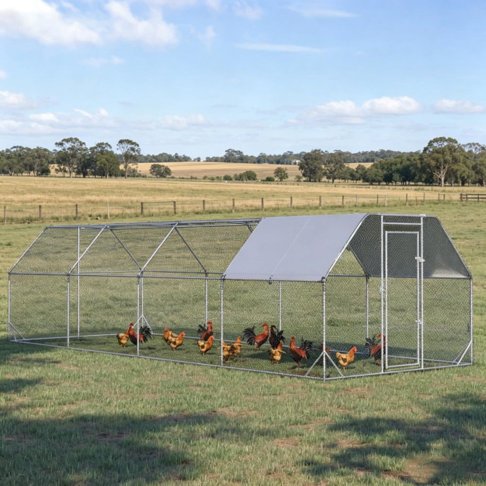 Chicken Coop